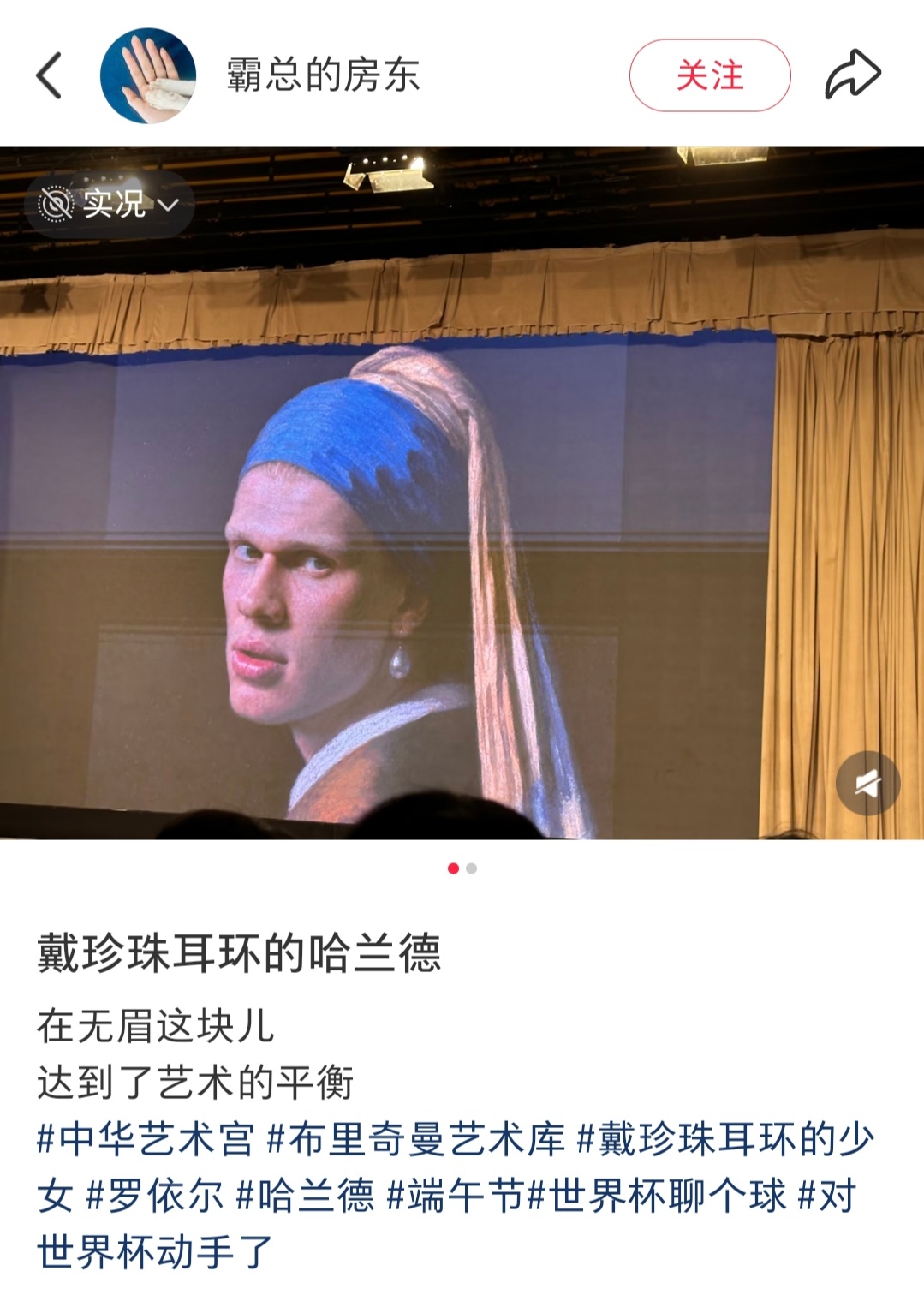 戴珍珠耳环的哈兰德 