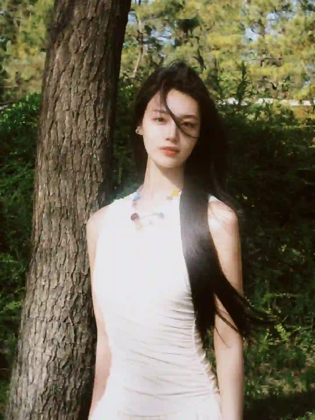 春天的胶片🎞️