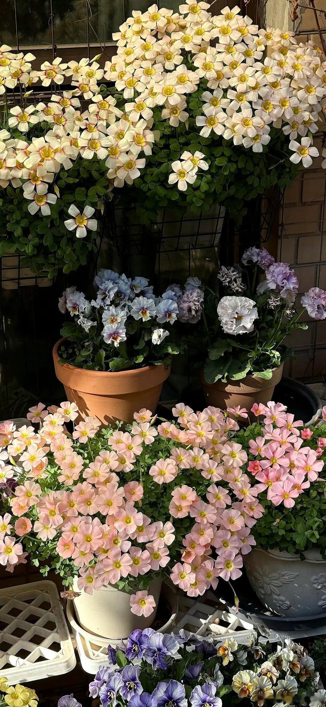 手机壁纸｜自存一些喜欢的/ 持续更新… 