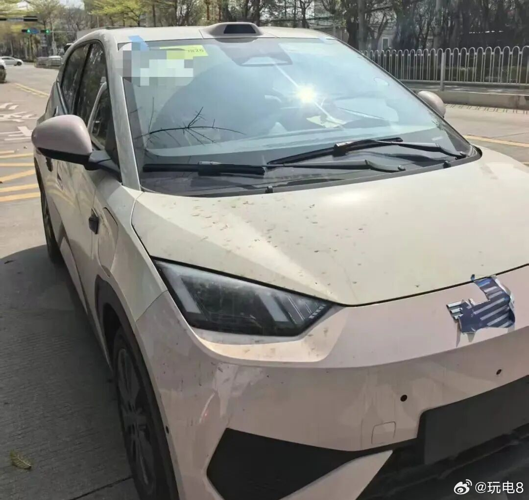 不是，怎么比亚迪海鸥 也开始有激光雷达了现在压力最大的可能是零跑吧，10万级车型