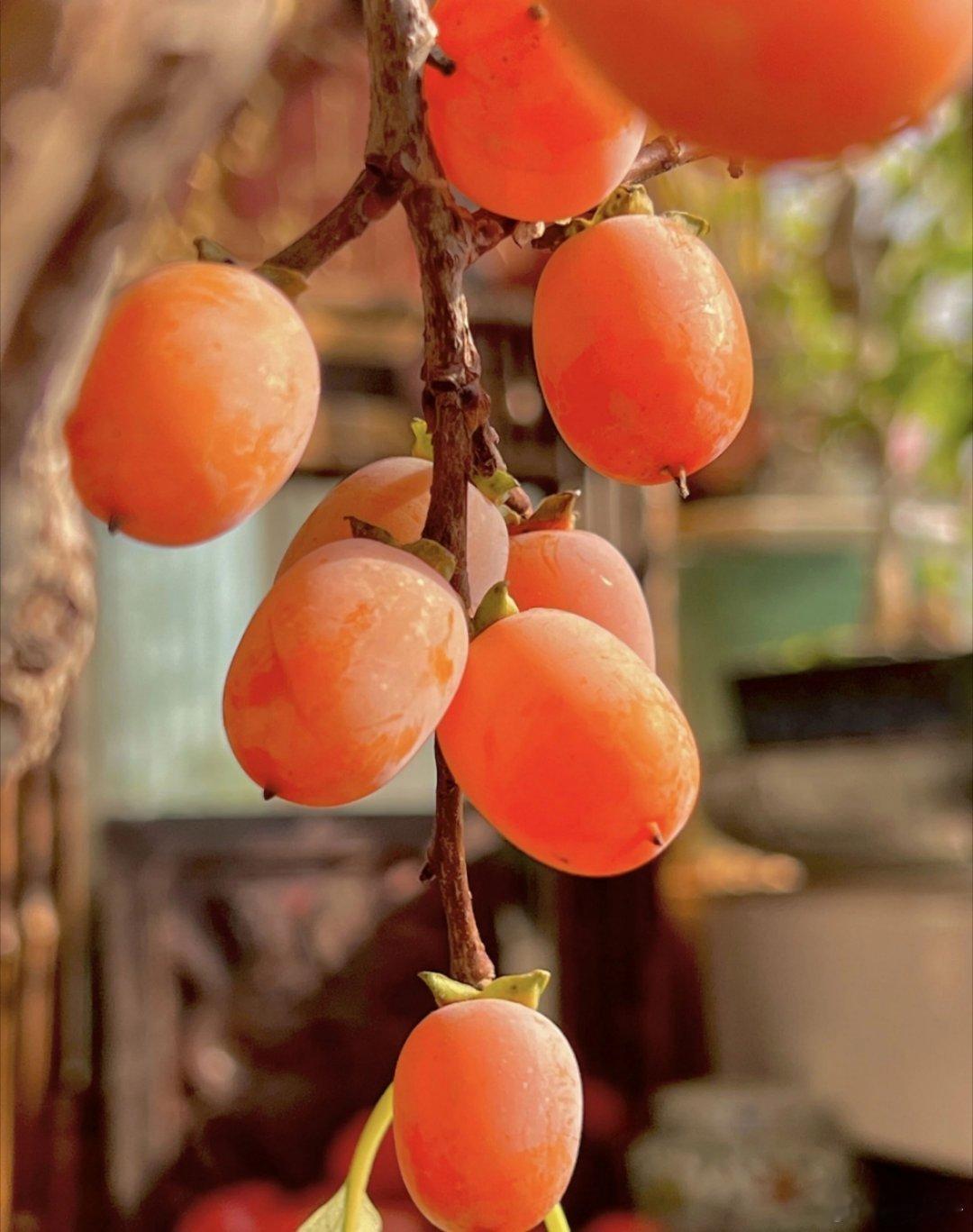 品味岁月感受时光的温婉，万事终将如意！ 