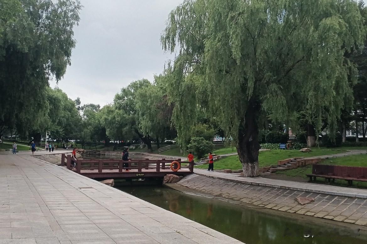 入伏
今天入伏，盛夏开始。
入伏吃饺子，我在纠结是自己包饺子还是出去吃。
冰箱里