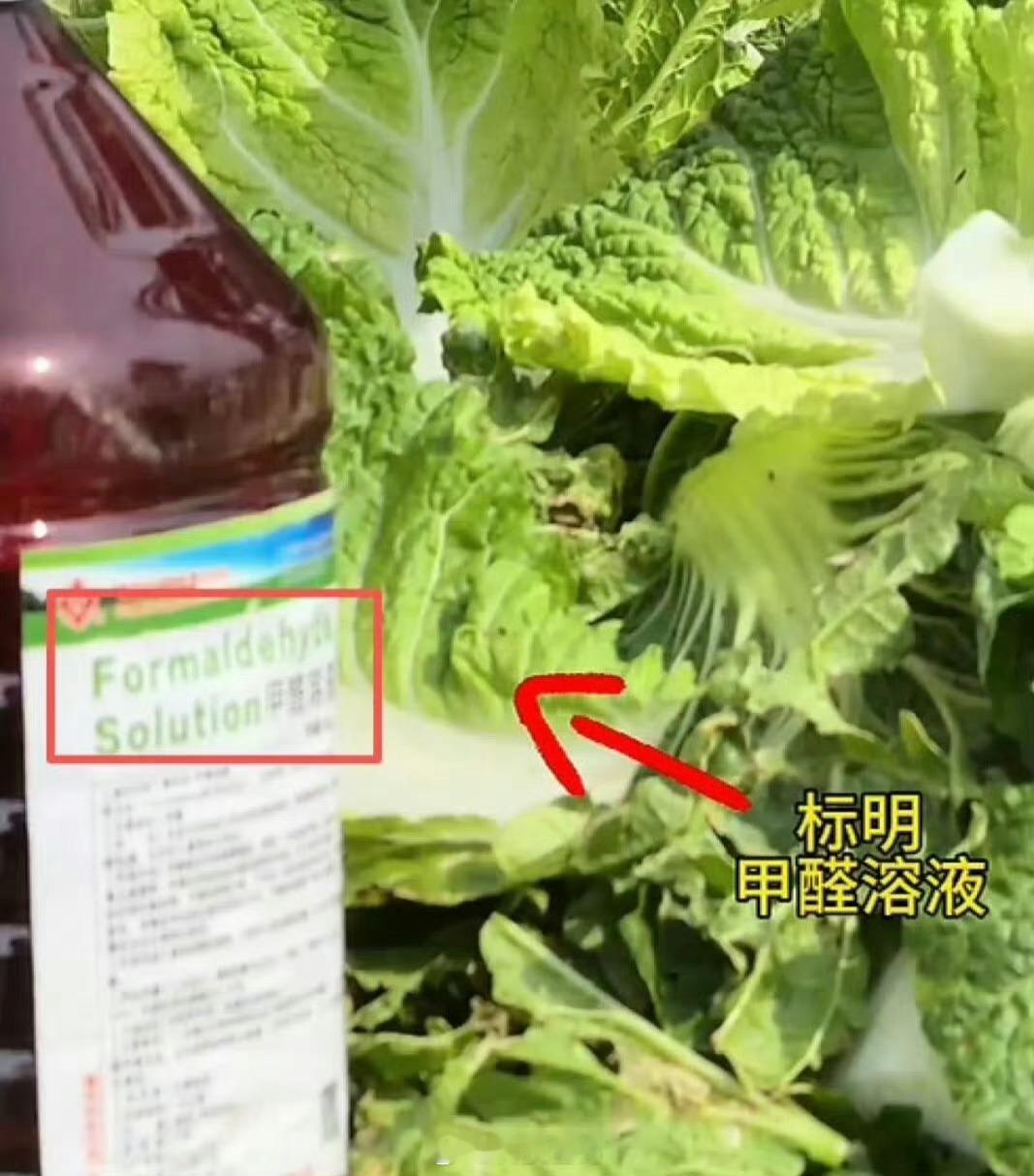 蔬菜 甲醛最近别吃白菜🥬？