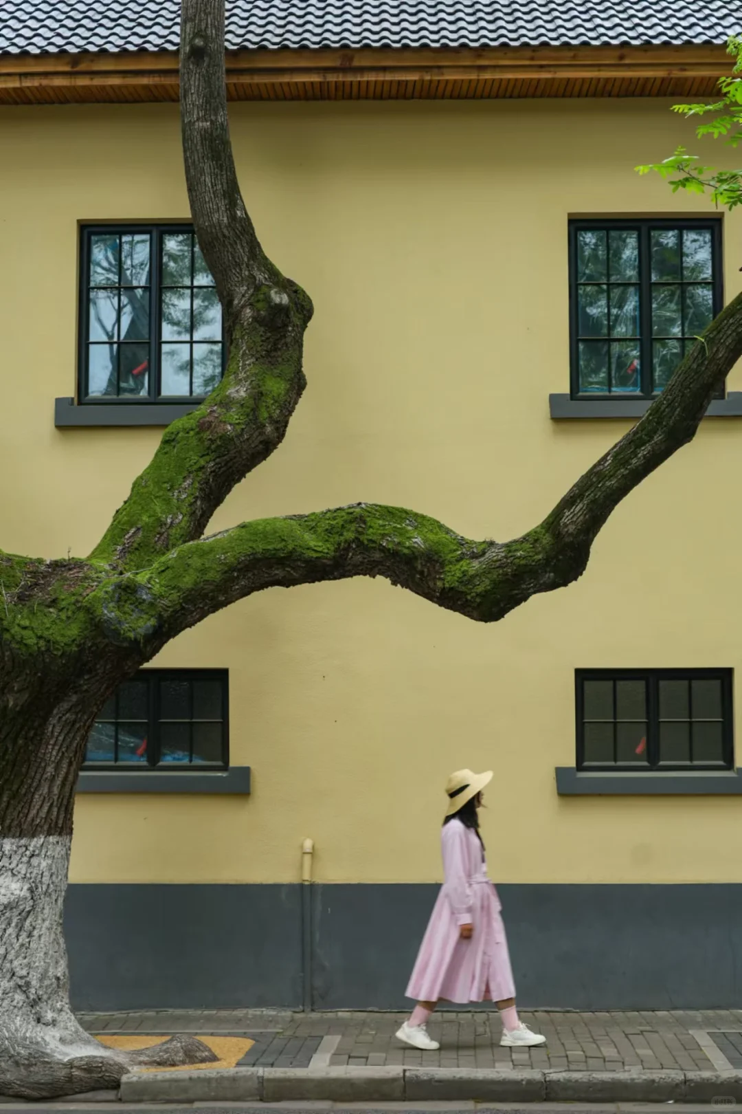 武汉周末特种兵旅游！南京2日游攻略