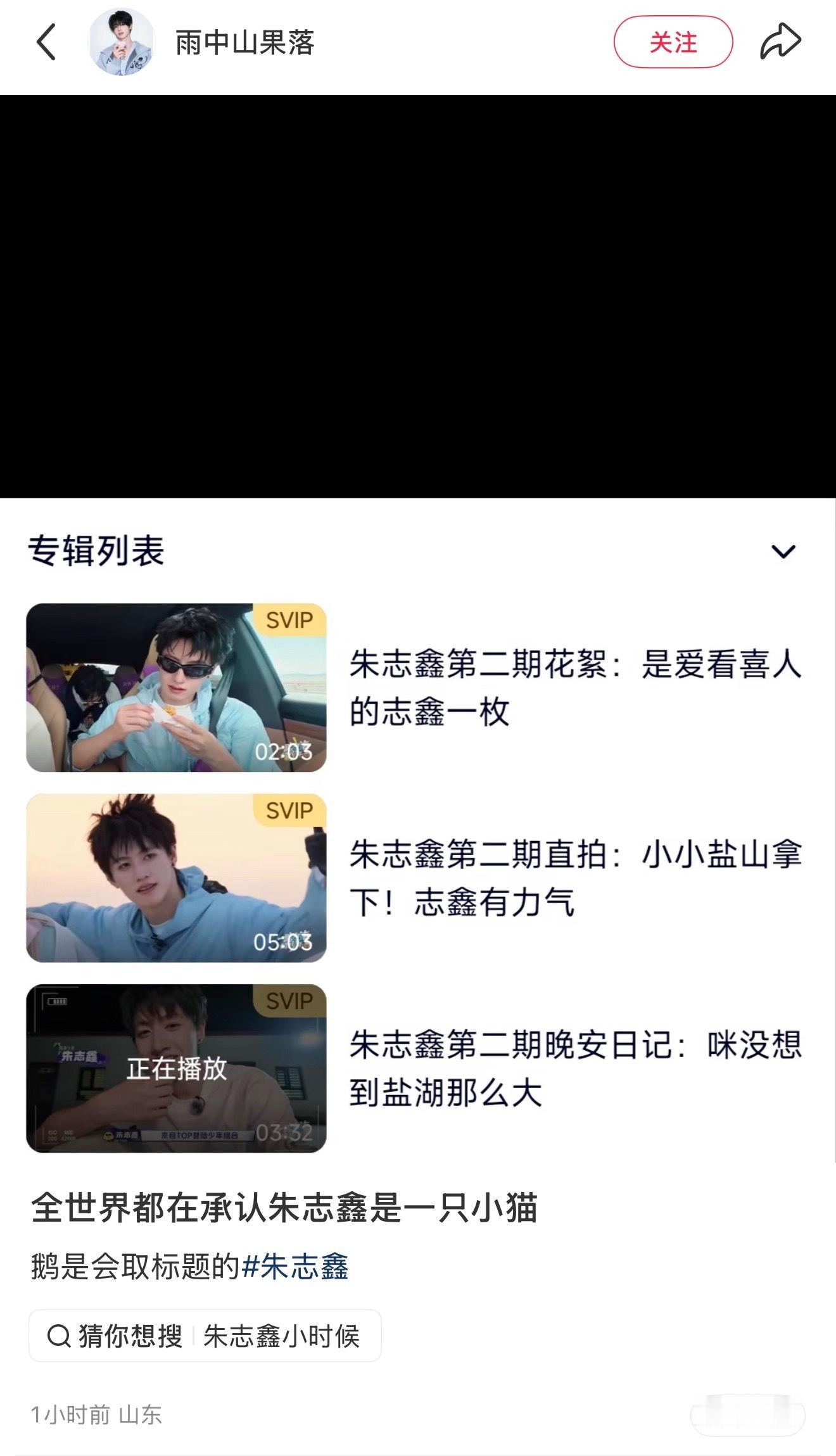腾讯你继续猫塑朱咪咪 