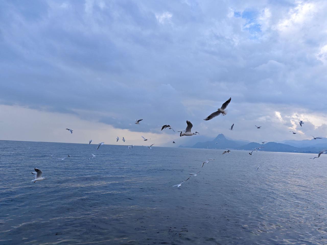 #旅行 #保持热爱奔赴山海 #努力成为更好的自己 #记录真实生活 #Angel阿