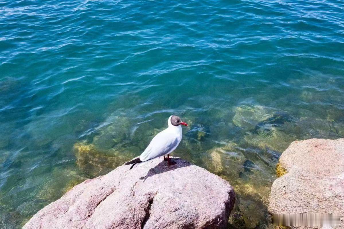 青海湖，不一样的风景请3天假连休13天