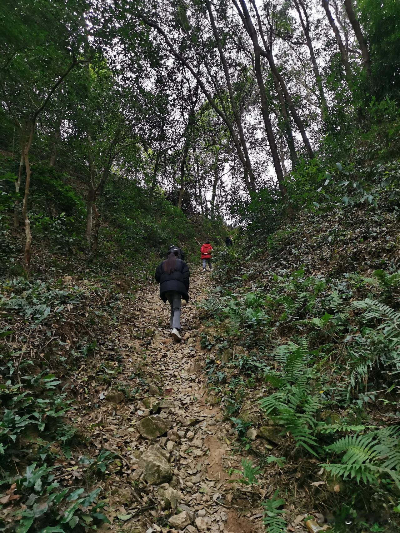 走路去亲戚家，翻山越岭[呲牙]
这样的道路开不了车