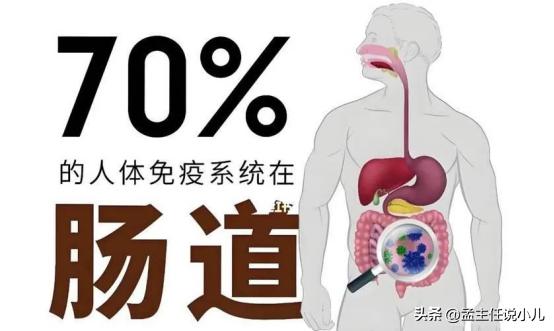 鼻炎孩子——停掉鸡蛋牛奶，早餐换成它！肠鼻同治，坚持30天有惊喜！
肠道和孩子的