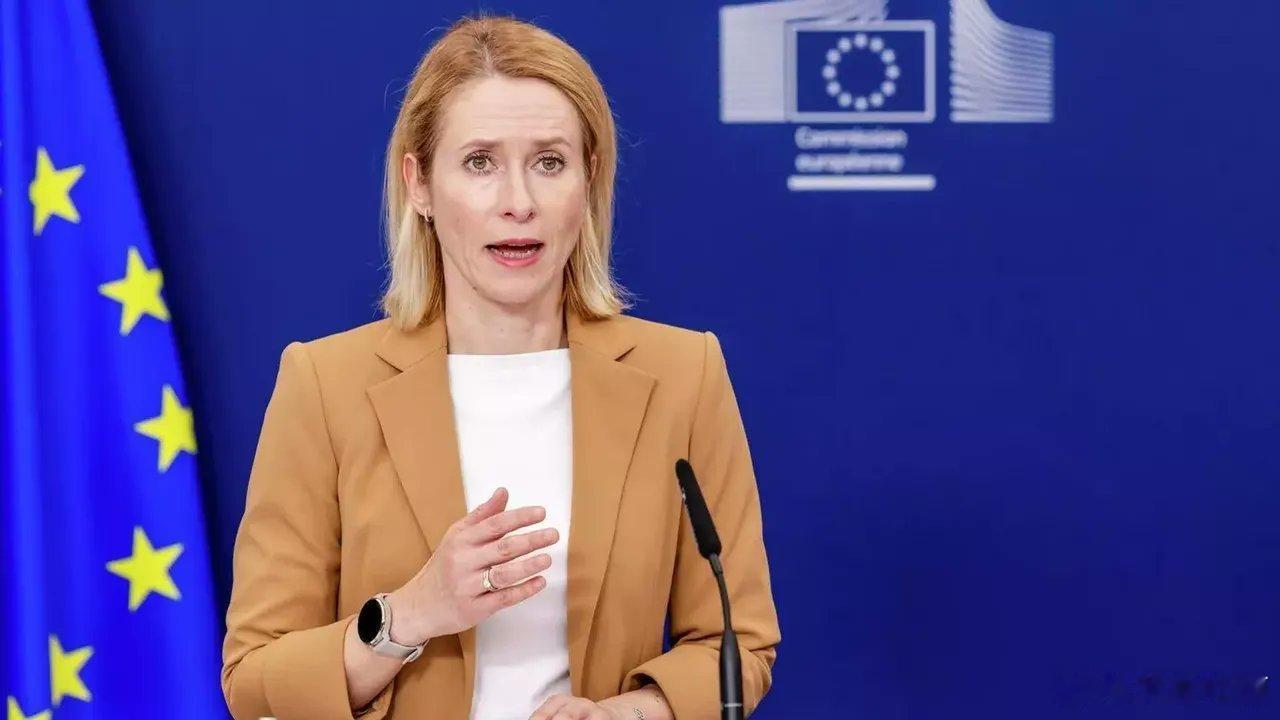 欧盟外长：马杜罗不具备合法性，支持委内瑞拉政权更迭既然这么搞，大鹅那就放心了，以