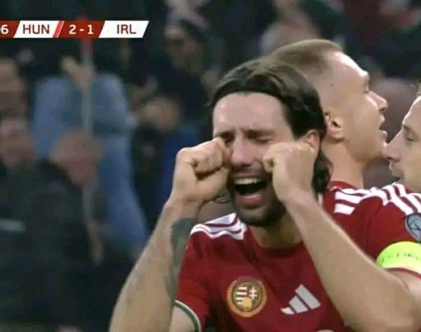 【表情变化有点大】世预赛欧洲区F组最后一轮，凭借帕罗特下半场补时的绝杀，爱尔兰客