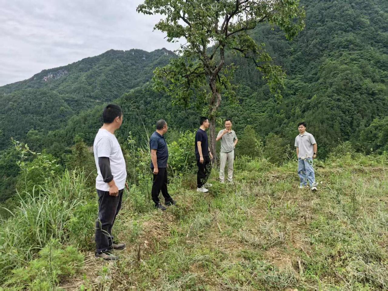 旺苍县大两镇开展高标准农田专项整治检查
    
   近日，广元市旺苍县大两镇