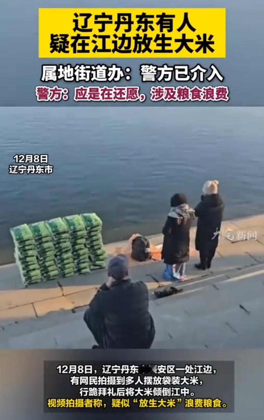 疯了？往江里倒大米叫“放生”？这简直是行为艺术界的泥石流！

这压根不是行善，是