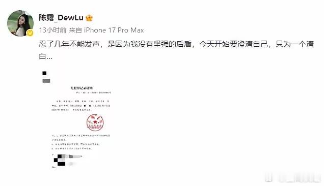法律事实很明确：没有法院定罪判决，就不存在犯罪案底。之前漫天铺地说陈露踩缝纫机、
