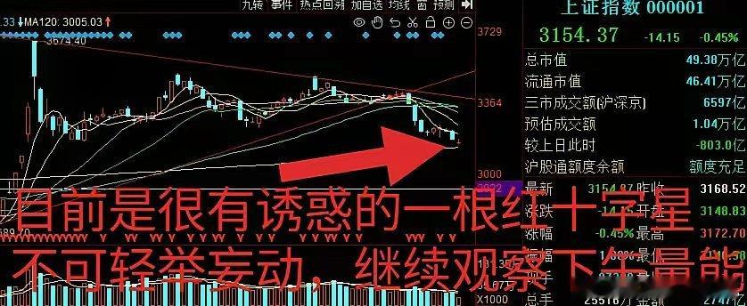 1-13午盘快评：补缺口了！终于补缺口了！今天开盘预期内的低开，而且直接开到了缺