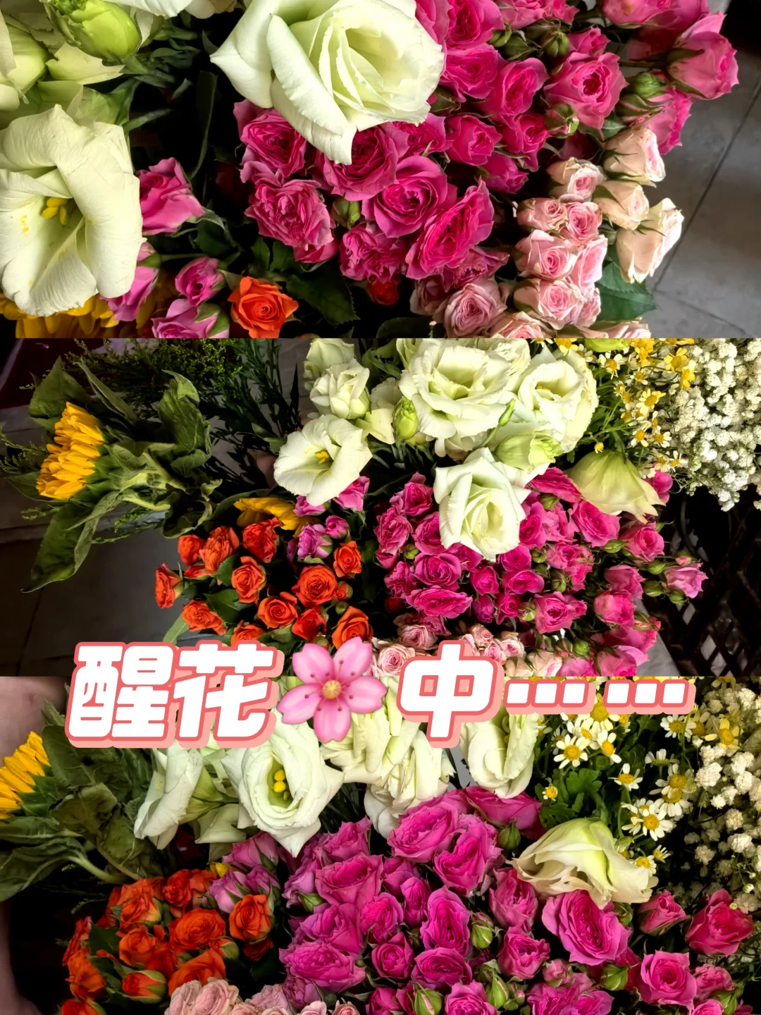 20块｜实现鲜花🌸🌸自由😘😘