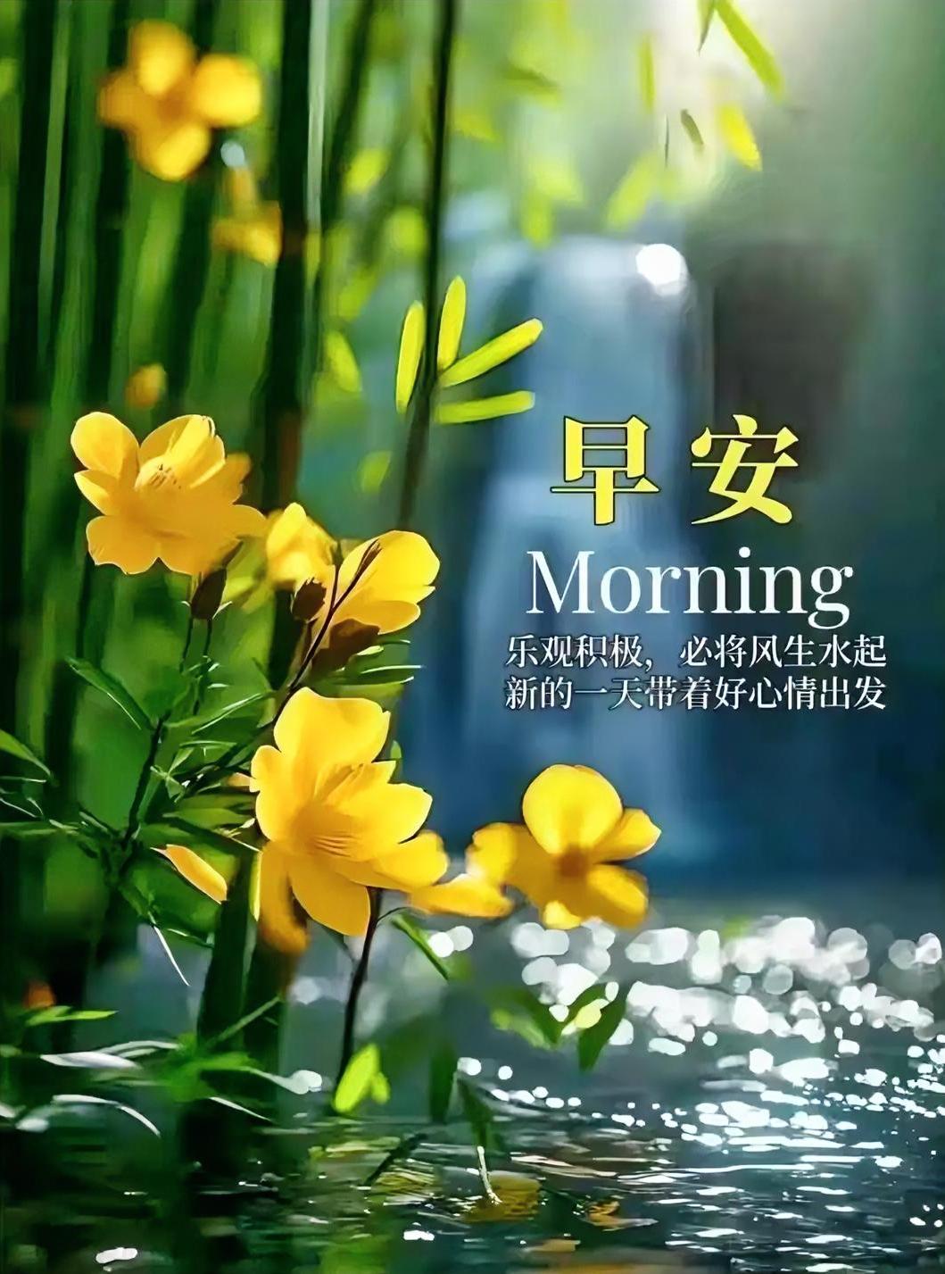 晨光洒落竹林，黄花映水笑开颜。早安！带着好心情出发，好运正在路上等你哟～
分享早