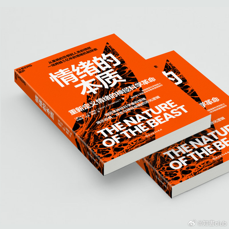 知書club 导读丨从“愤怒”的金鱼开始重新理解情绪一个孩子在学校操场上痛打他的
