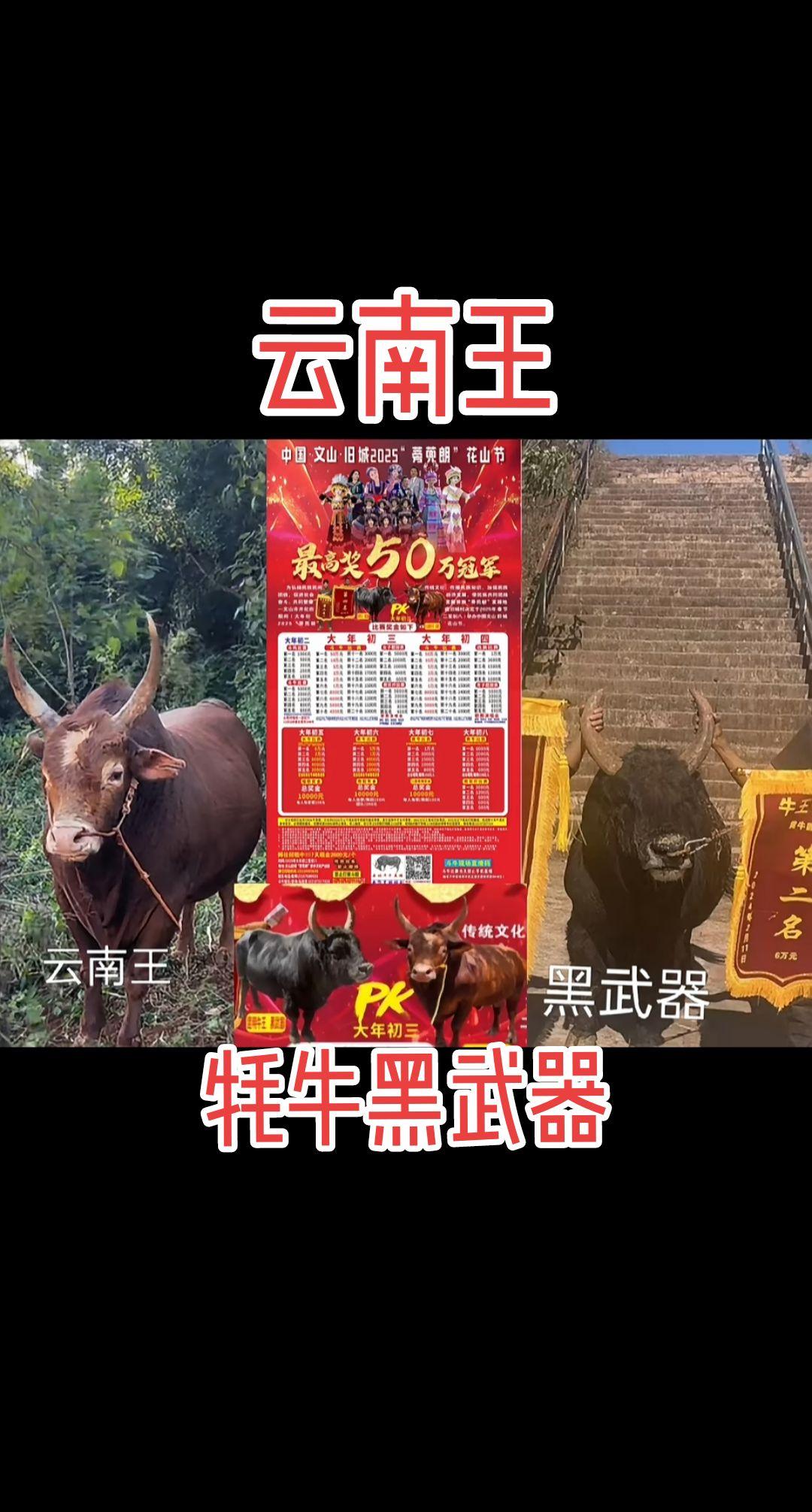 出来评论一下哪个会胜利兄弟们，，一起相约世界牛王最高纪录杯，经过组委会...