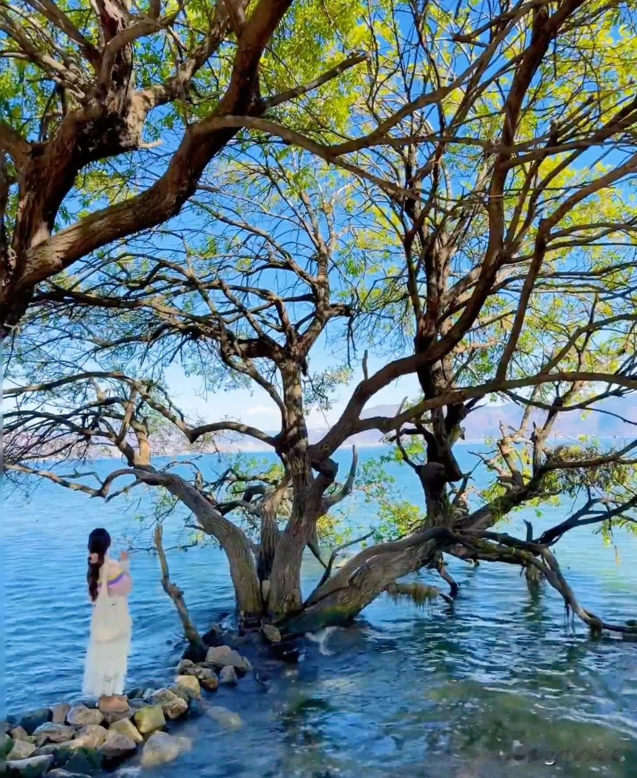 越来越多人不爱旅游了。
不是没钱，也不是没时间。
而是这三个原因：
一，钱越来越
