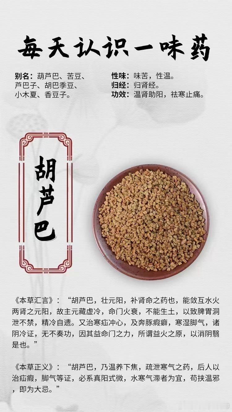 #每天一味中草药##健闻登顶计划# 【每天认识一味药】[鲜花]胡芦巴🔍别名：葫