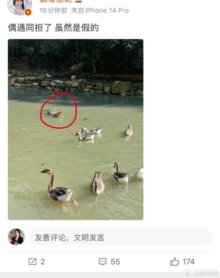 窝霉也入赘了？ 