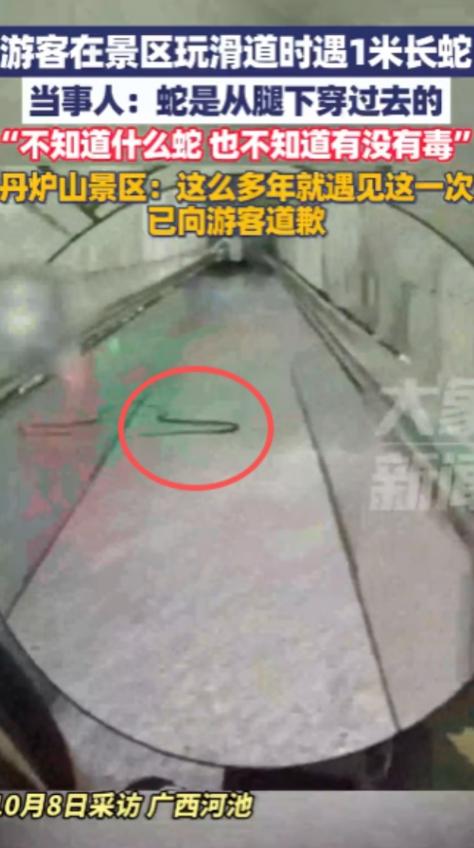 “太吓人了！”10 月 3 日，广西河池，一男子在玩景区内的玻璃滑道时身后忽然窜