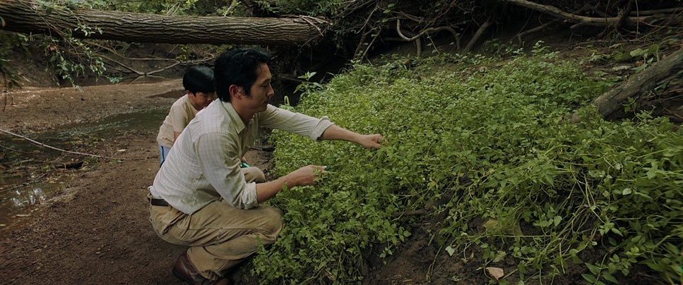 早安🌞“看到它总比让它躲起来好。躲起来的东西更危险更可怕。”——《米纳里》 李