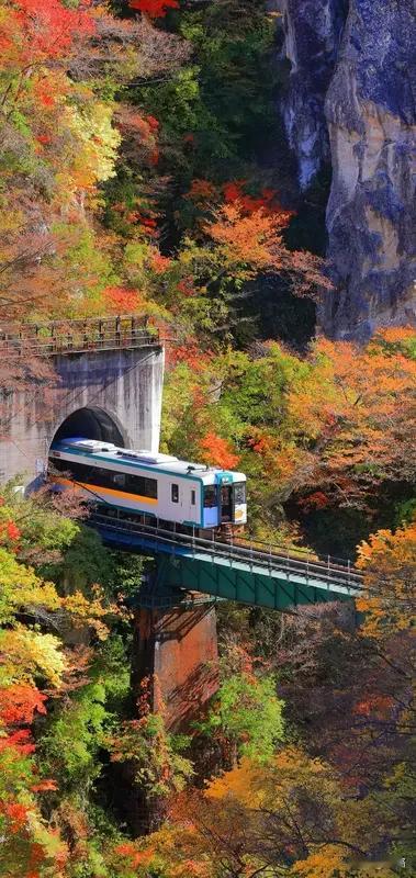 日本又出事儿了！当地时间12日6时50分左右，秋田县北秋田市阿仁地区的秋田内陆纵