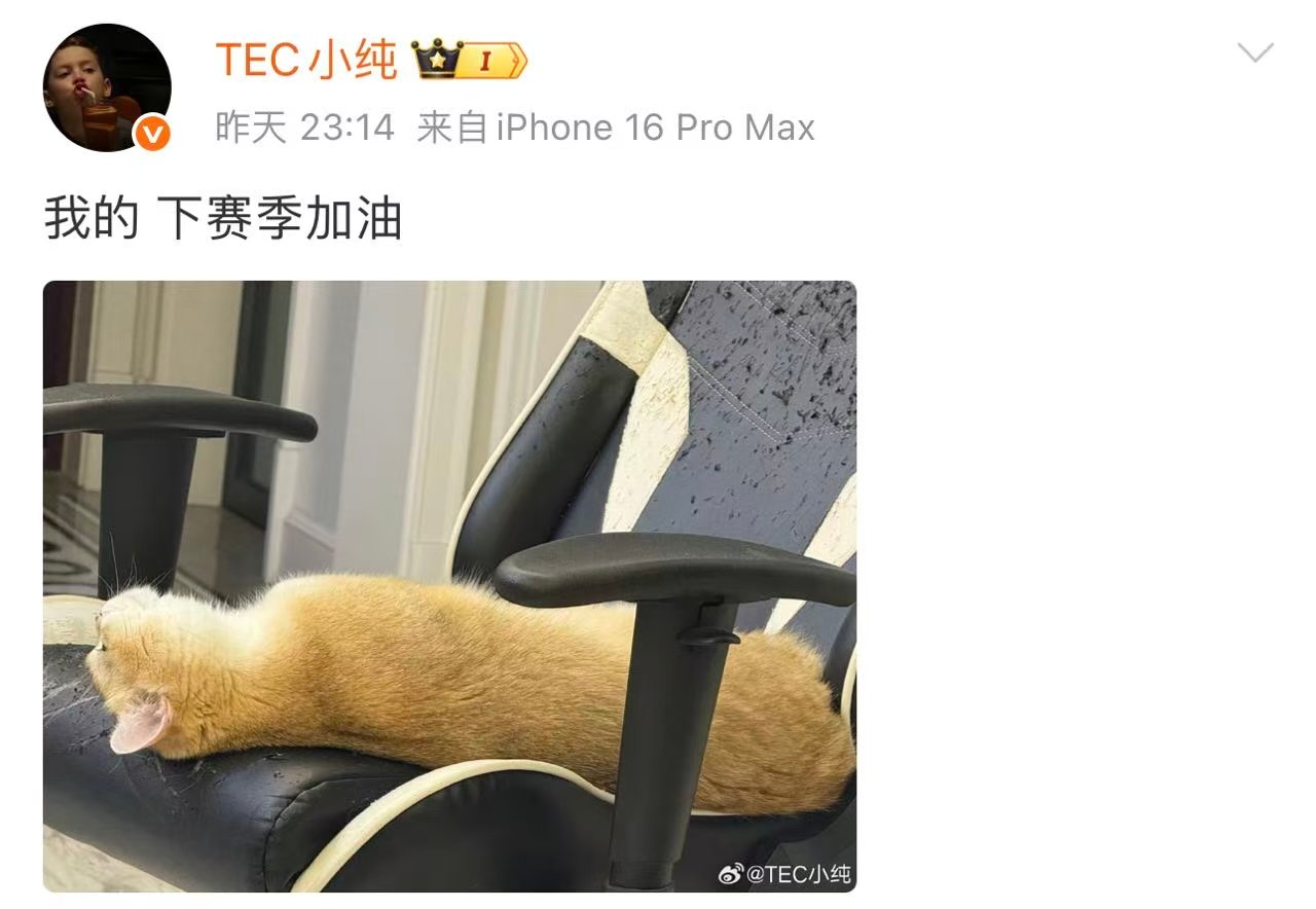 触底反弹，相信自己下赛季加油，好好努力小纯 下赛季加油 ​​​