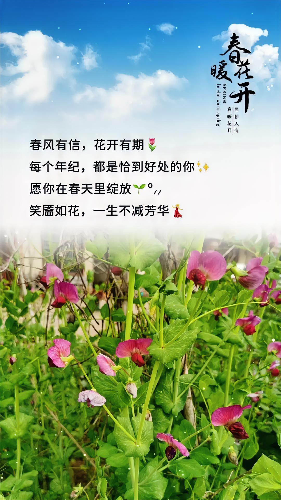 冬天休息了，
春来了，
冰天雪地迎来了春暖花开，
大地又穿上绿色的外衣，
让阳光