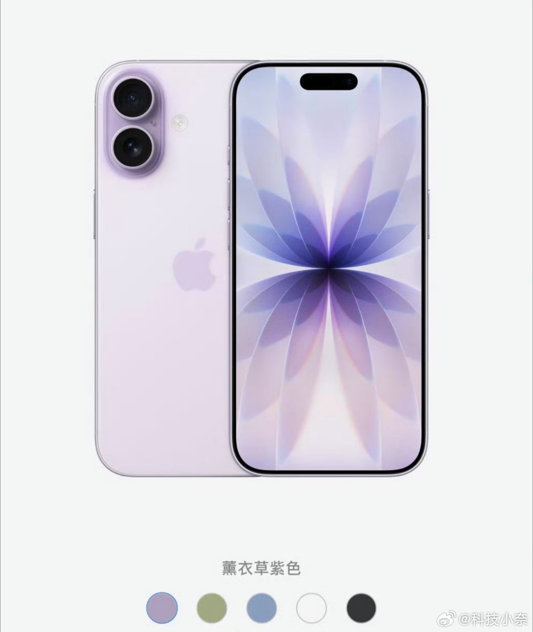 大家都想好入手iPhone17系列中的哪一款了吗？小奈这回有点想入手标准版，这也