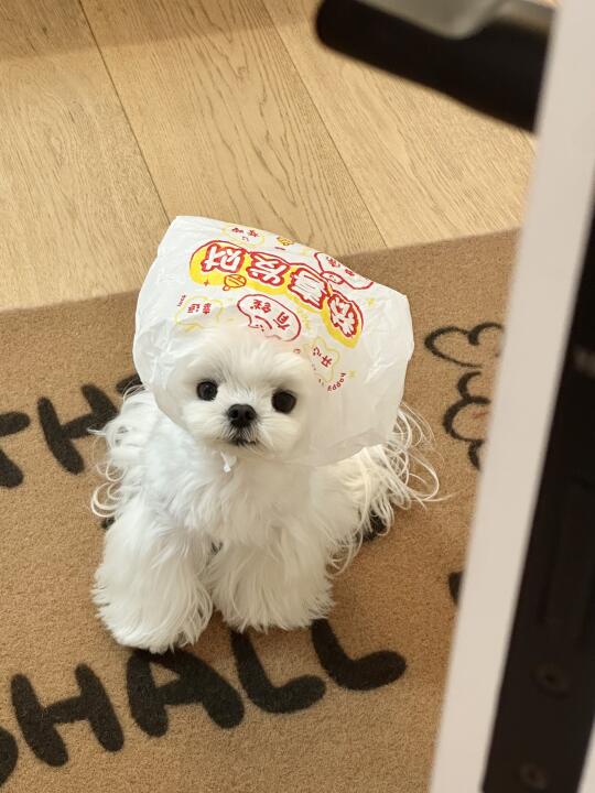 居然为了这一口要离家出走