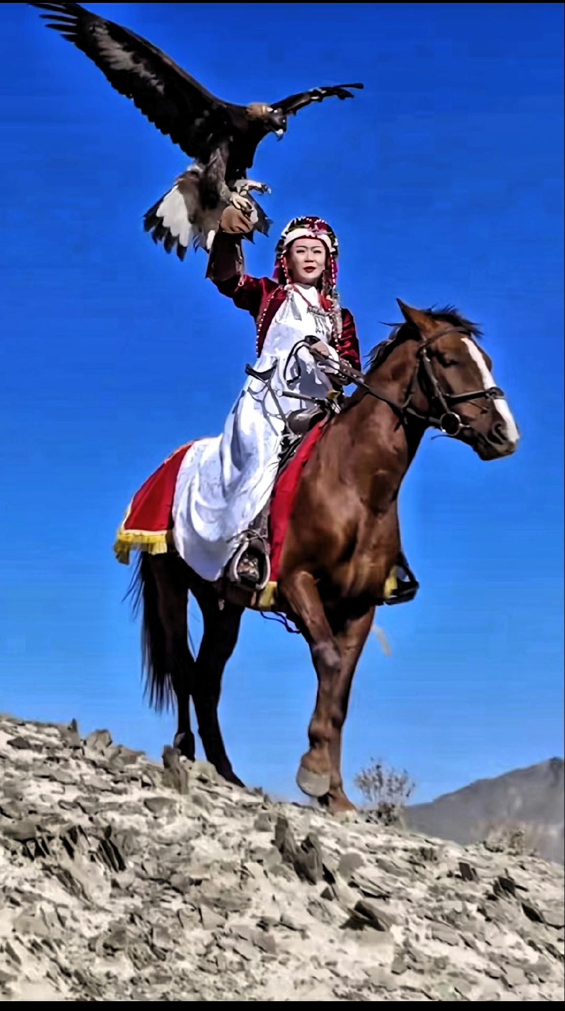 看到初中群里都在传，贺娇龙回昭苏了，要葬在她父亲边上。说真的，这时候最不敢想的就