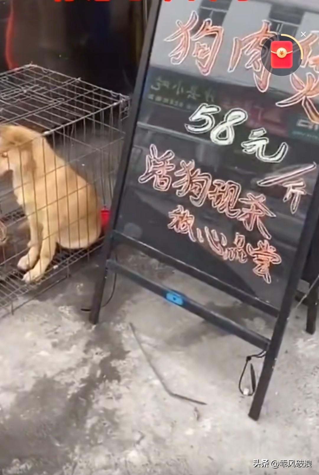 待宰的狗狗被关在铁笼子里，泪眼汪汪，浑身颤抖，似乎已预知自己命不久矣。有人走近时