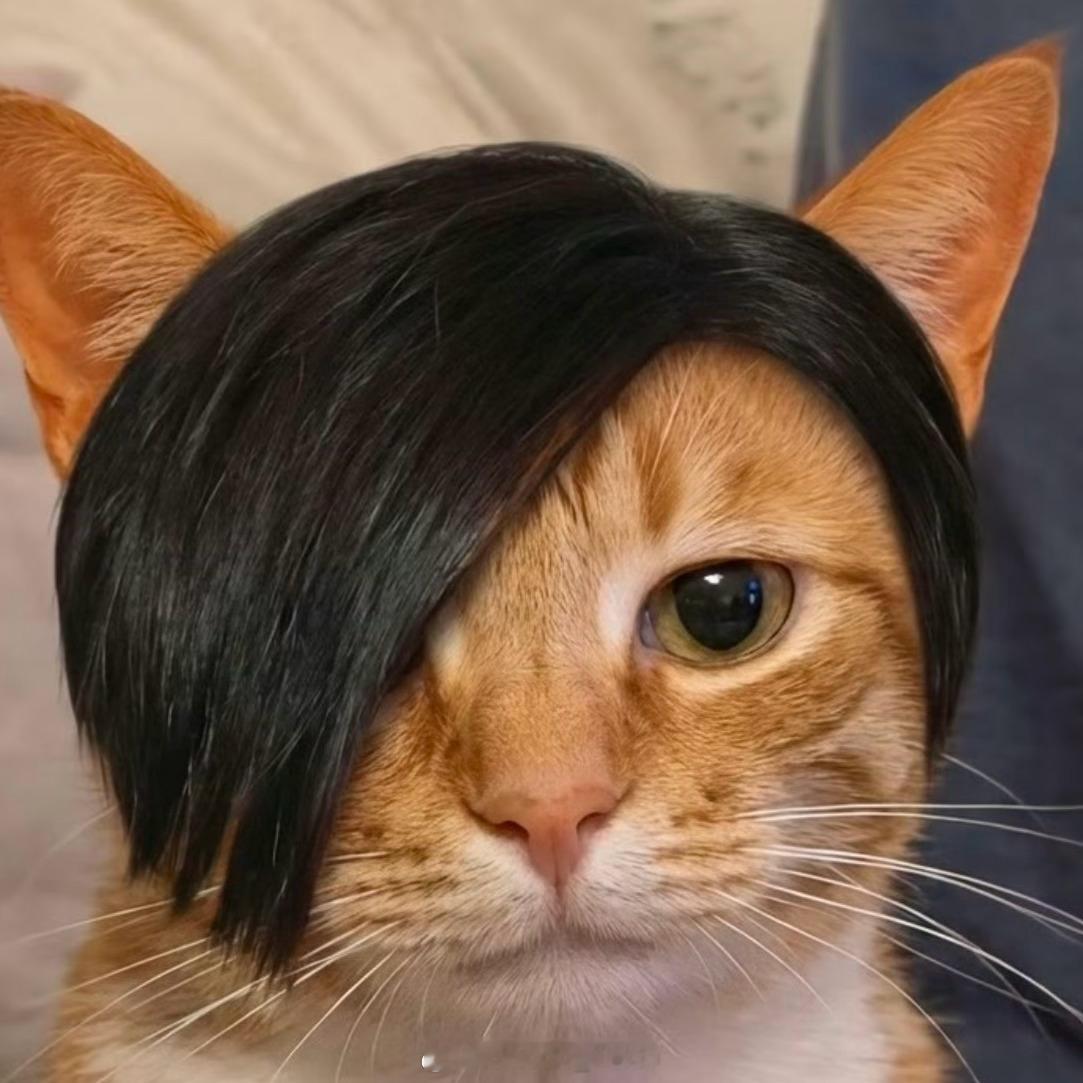 iPhone18Pro外观放弃药丸屏你还真的别说iPhone的药丸屏幕都成了标志