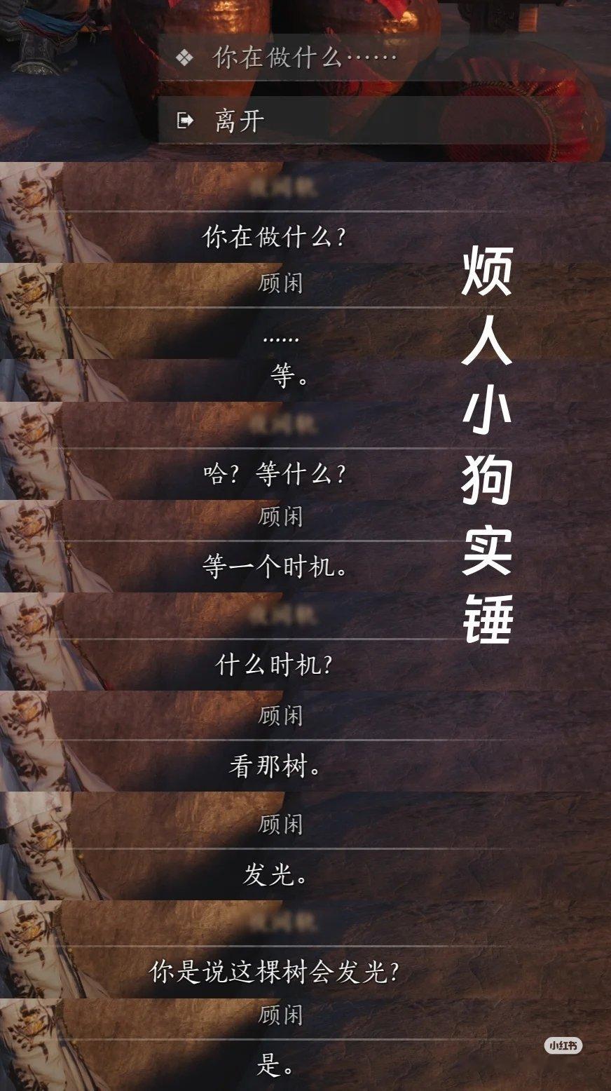 少东家AKA史上最烦人的小狗 