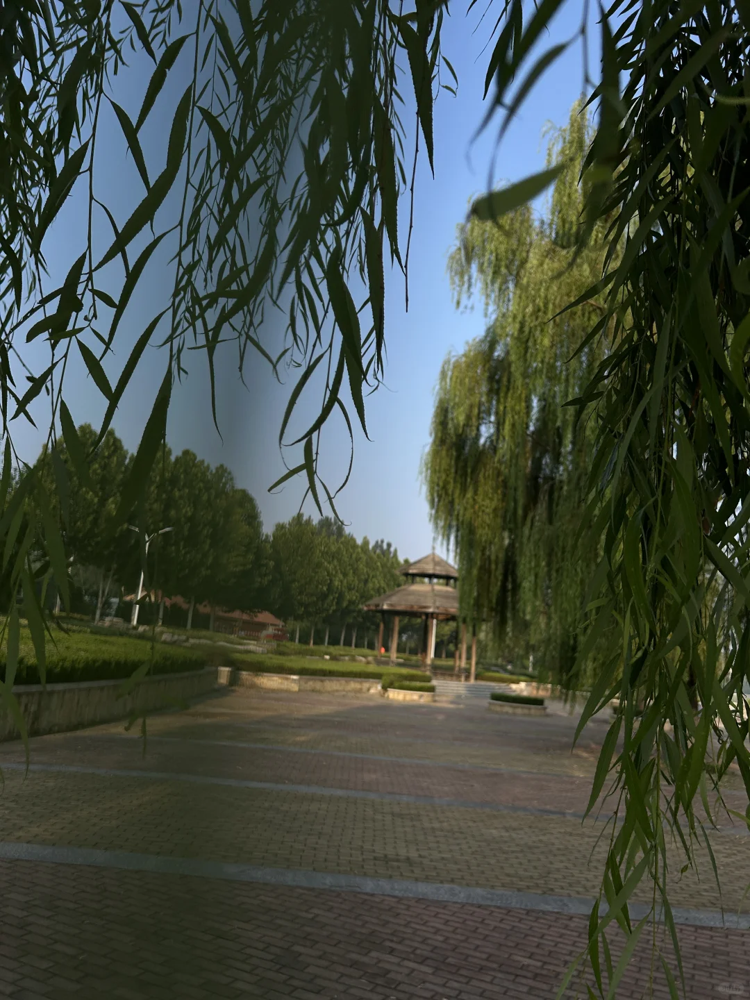 离婚从来不代表着一种失败，好好做自己