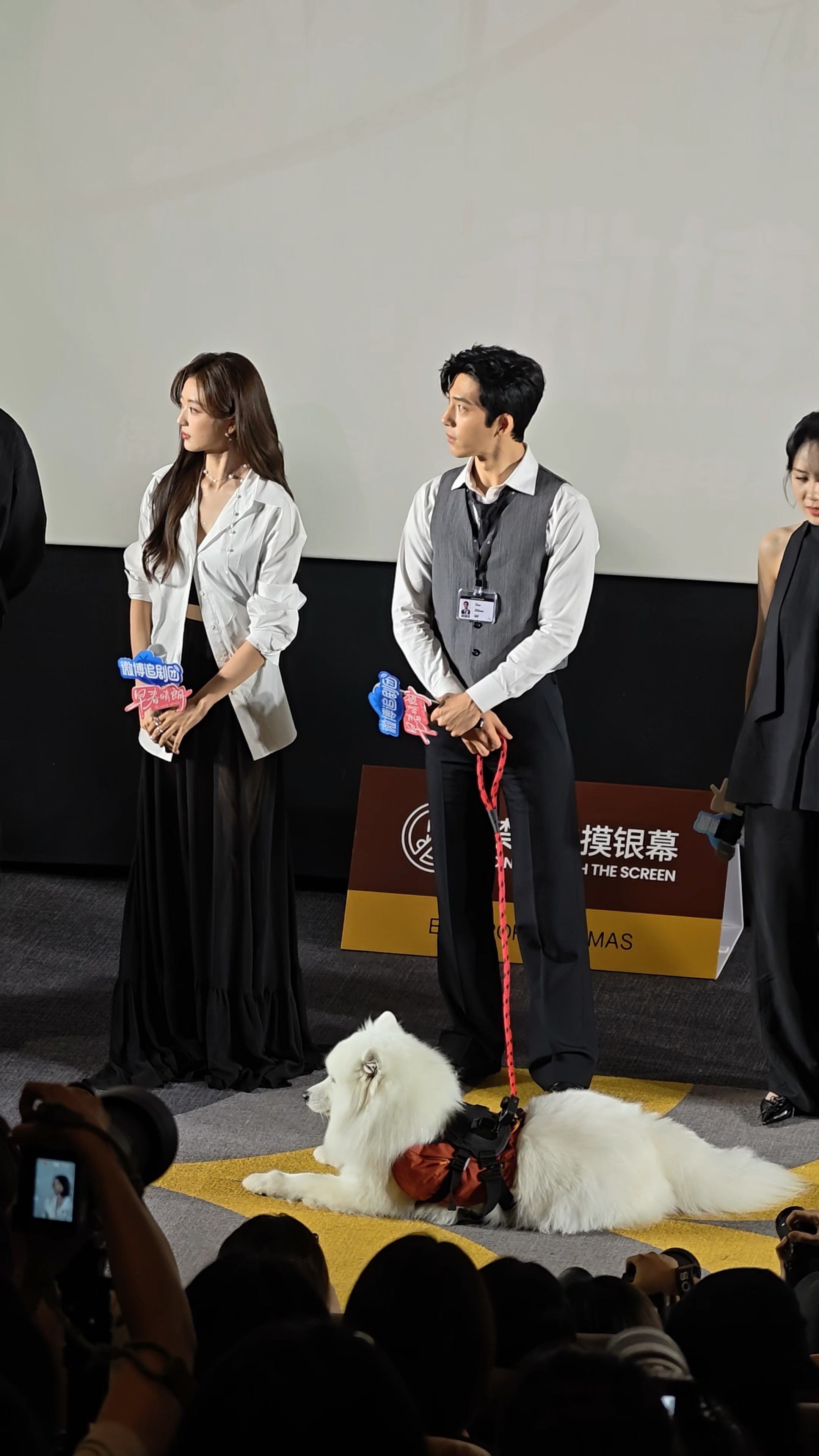 井柏然孙千现场抢狗 追剧团名场面就此诞生，抢小狗的片段全程欢乐不断，两人孩子气的