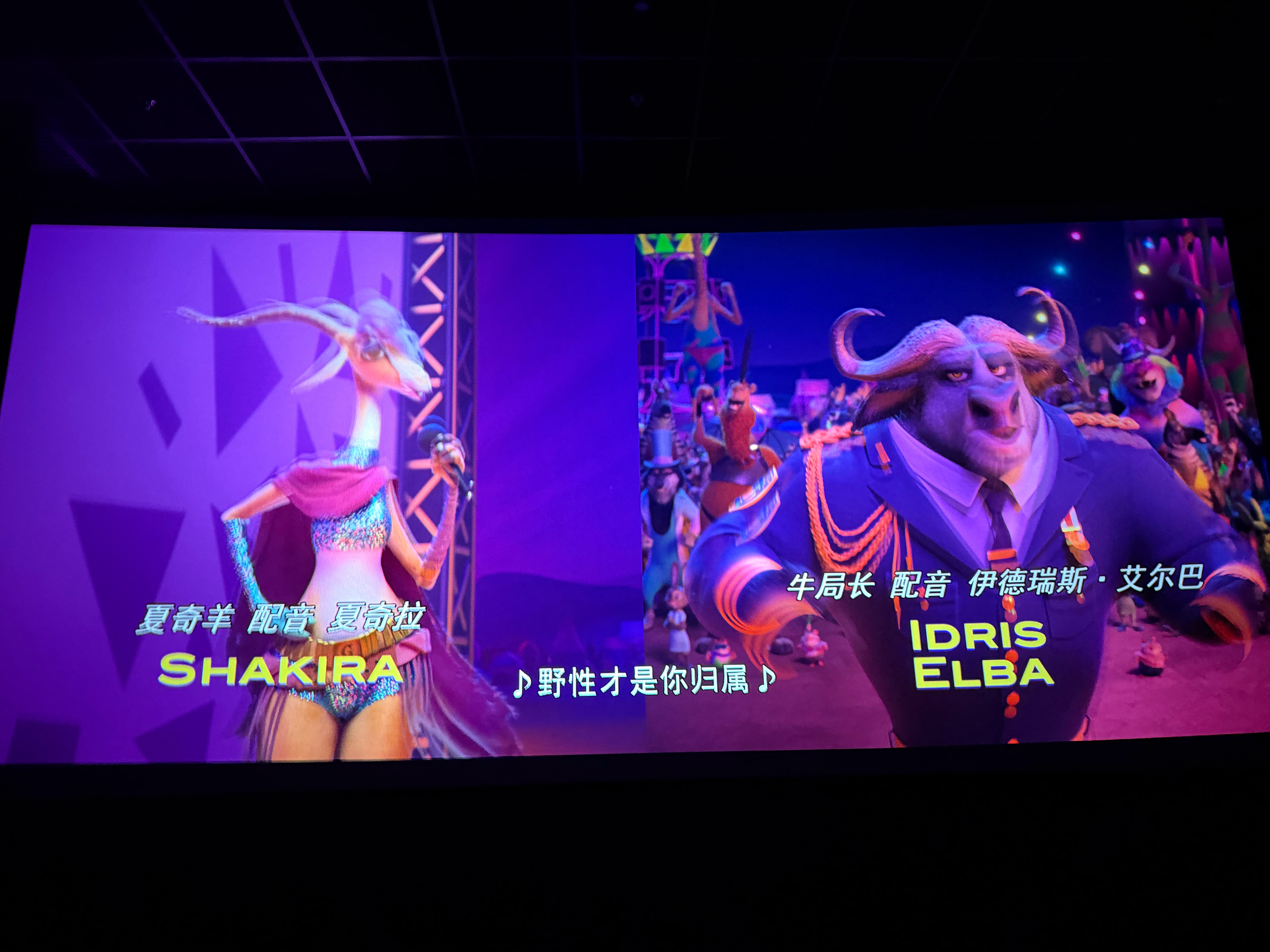 好喜欢夏奇拉！！！！！ 