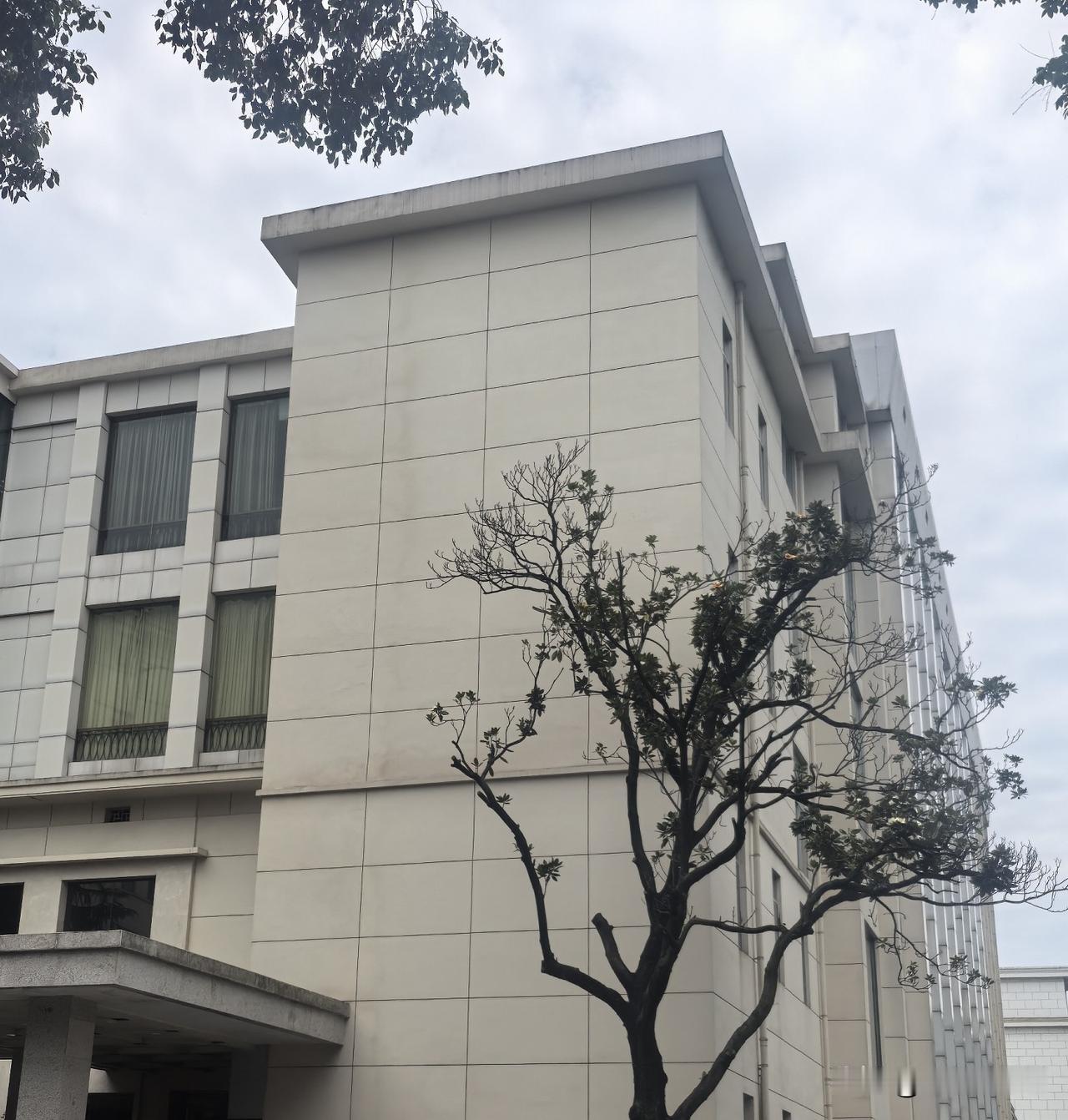 单身加独处，让我显得与众不同，也是我留给自己的尊重，体面和轻松。

我说我过得很