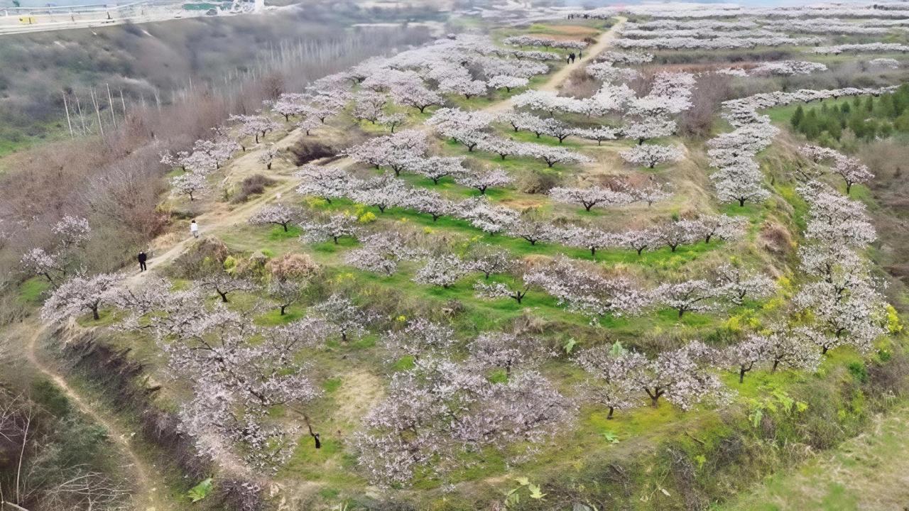 25年前，这里的村民不会想到，一句"穷光出溜"的自嘲，会变成今天刷爆抖音的网红打