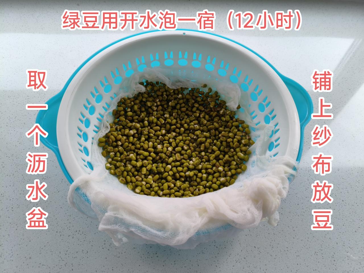 用我妈教的最笨的方法生绿豆芽，能否成功，5天后见分晓。