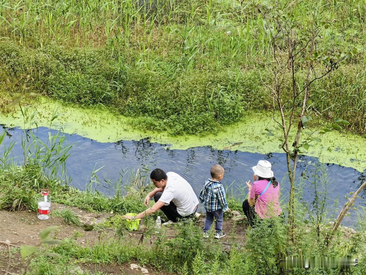 六盘水师范学院学生真的好幸福，旁边就是风景好生态环境好的明湖湿地公园，感觉身体都