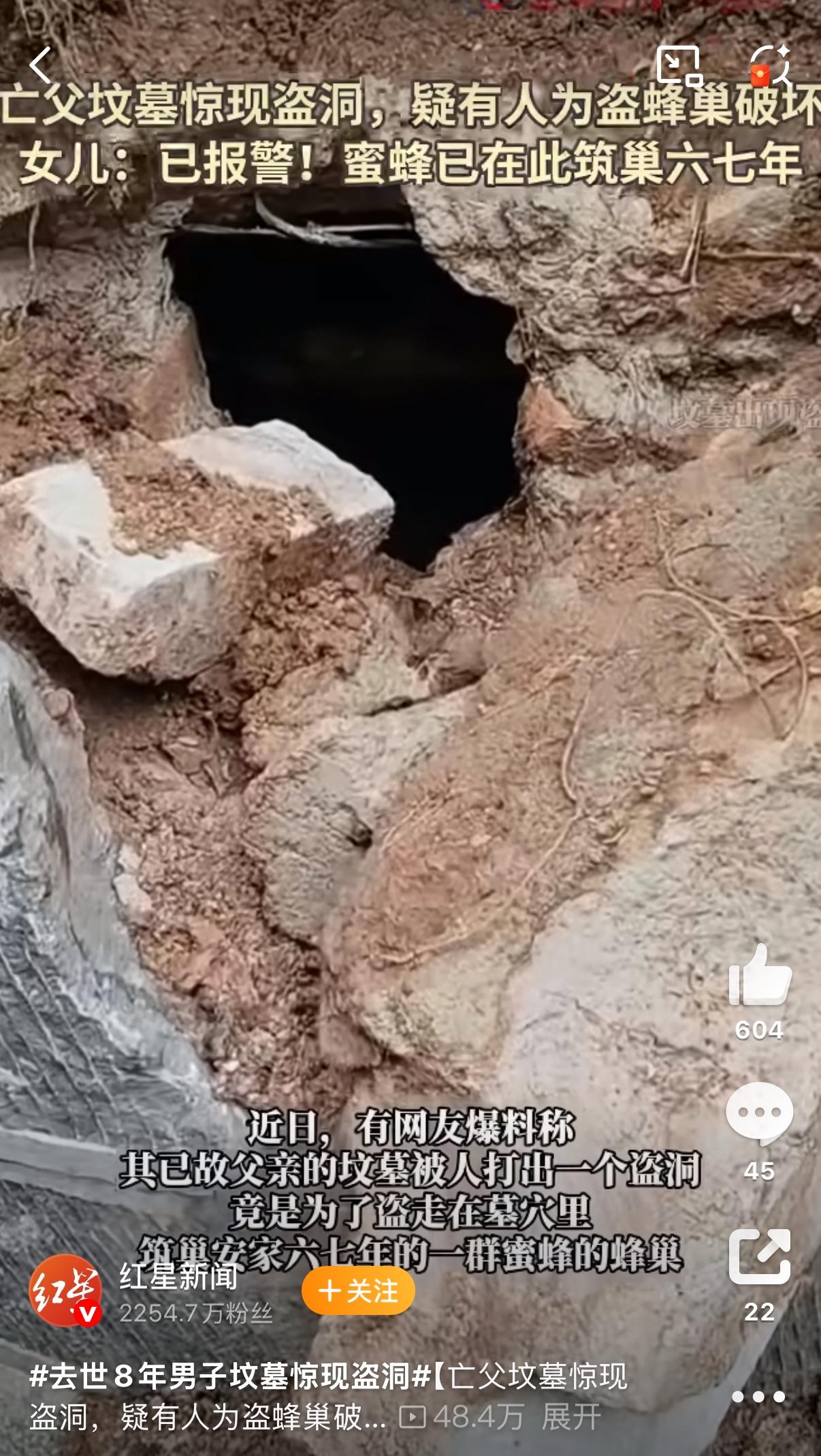为了几口蜂蜜竟把人家祖坟撬出个盗洞？云南泸西这事儿听得人浑身发麻，怎么会有人为了