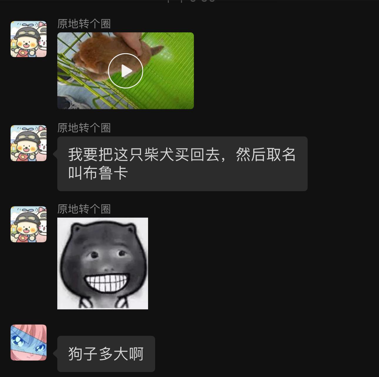 [老师好]你们真是我的好黑粉 ​​​