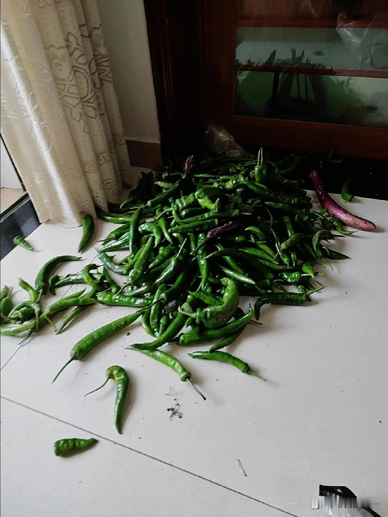 婆婆给的辣椒好吃但吃不完，确实挺让人发愁。我之前也遇到过这情况。
要是不太会腌辣