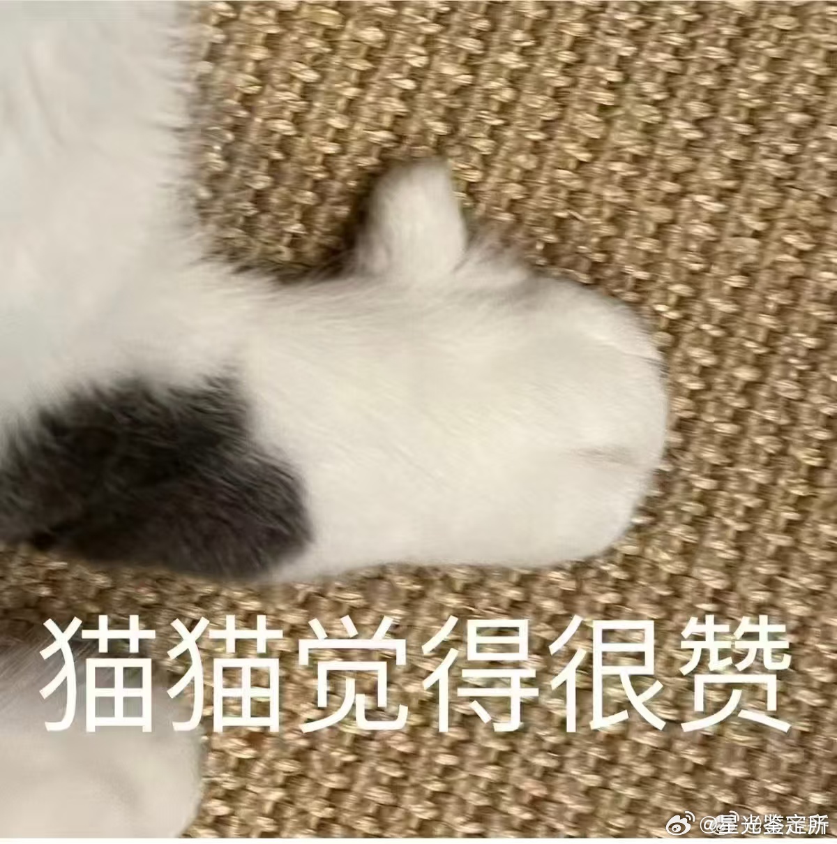 租房时一定要对水电有概念 交房时一起抄水电表，双方确认签字，避免退房被胡乱扣费。
