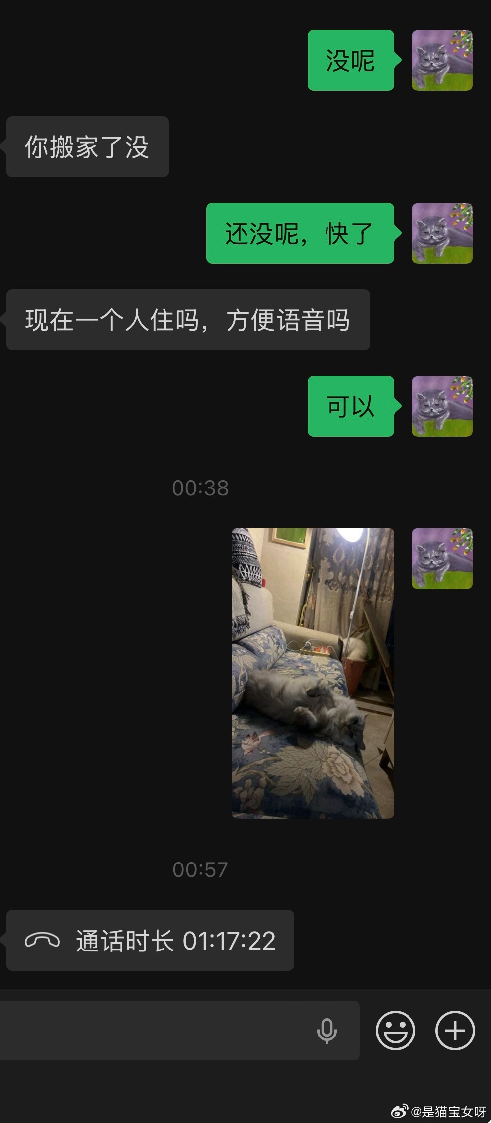 这个月很神奇，联系上了两个很久不联系的前任 三亚