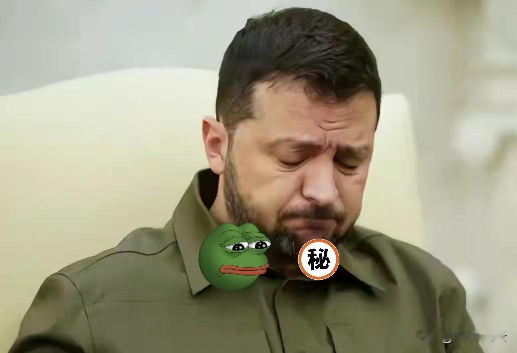 快讯快讯！
西方援助养肥了谁？
泽连斯基刚出丑闻，乌克兰反腐机构就曝贪1亿！
